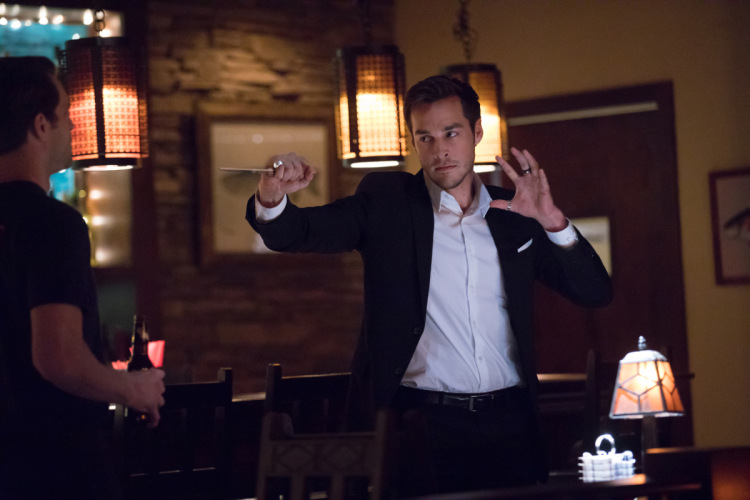 tvd_8x13-1