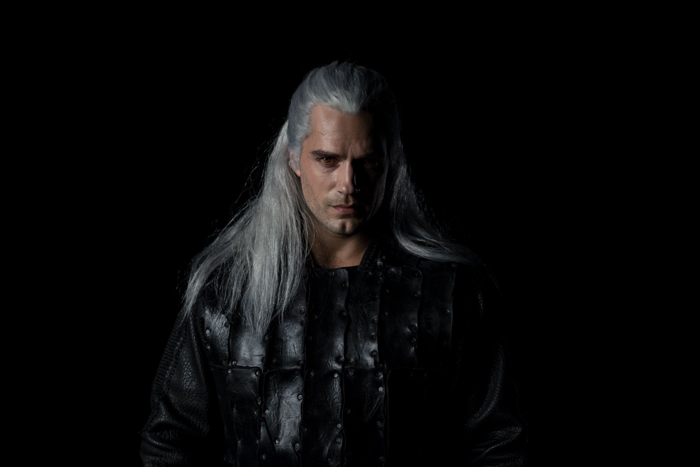 The Witcher_HC