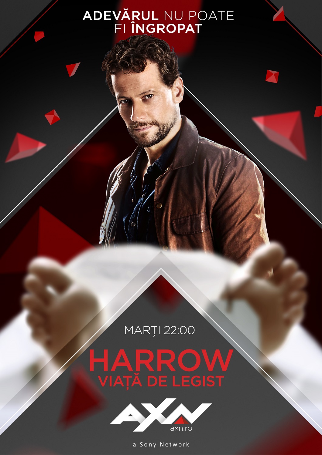HARROW_Vizual