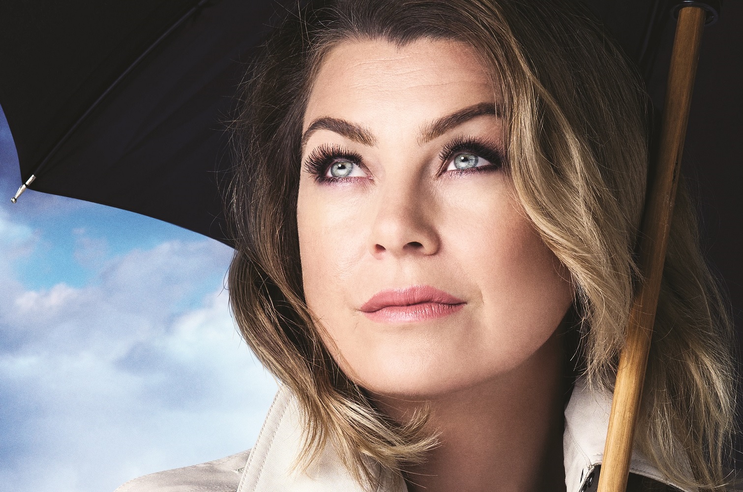 Grey’s Anatomy: Sezonul 12 ajunge la DIVA