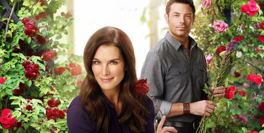 AXN România și „Misterul din florărie” (eng. Flower Shop Mystery)