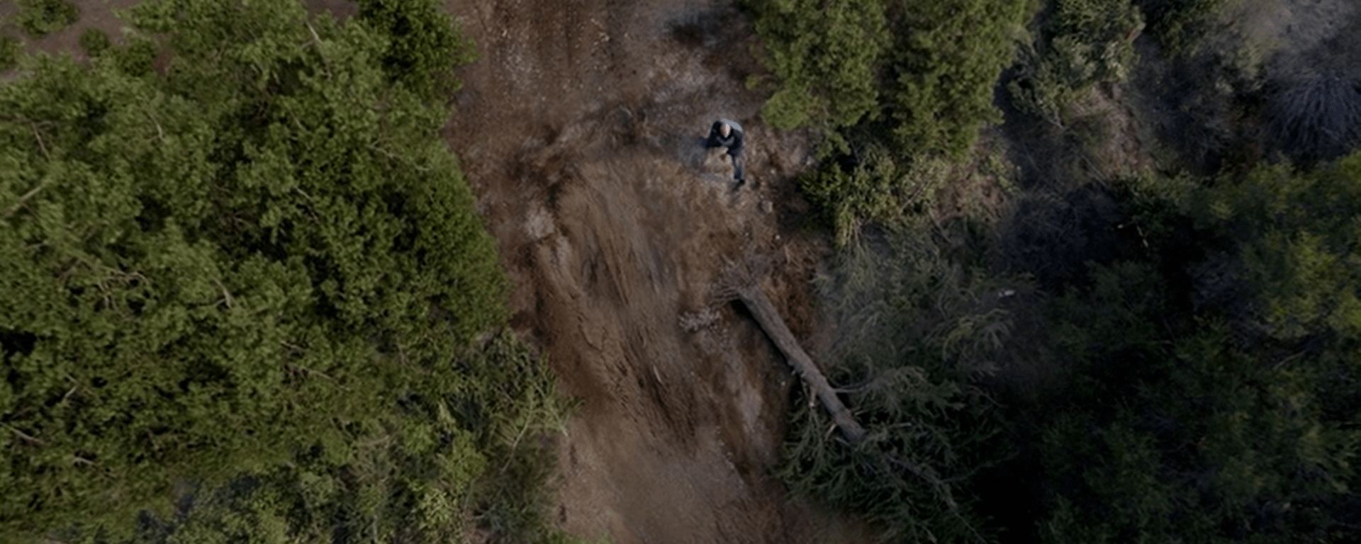 [CRONICĂ] Grey’s Anatomy – 18×07 “Today Was A Fairytale” & 18×08 “It Came Upon a Midnight Clear”